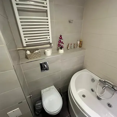 Apartment Hedonic *